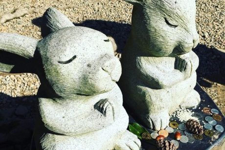 願解き